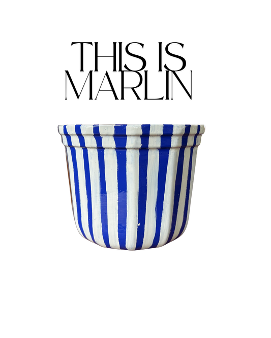 This is Marlin
