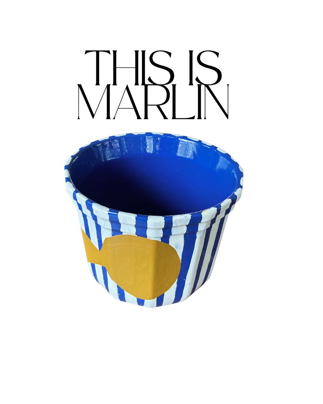 This is Marlin