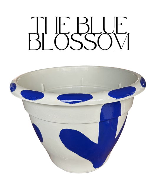 The Blue Blossom