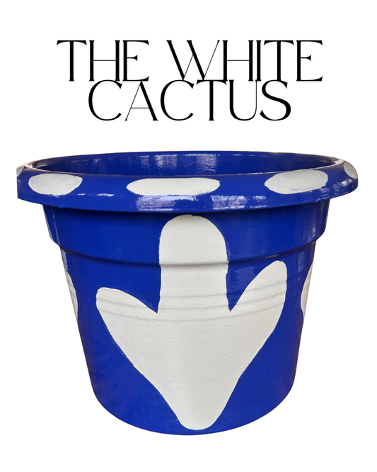 The White Cactus