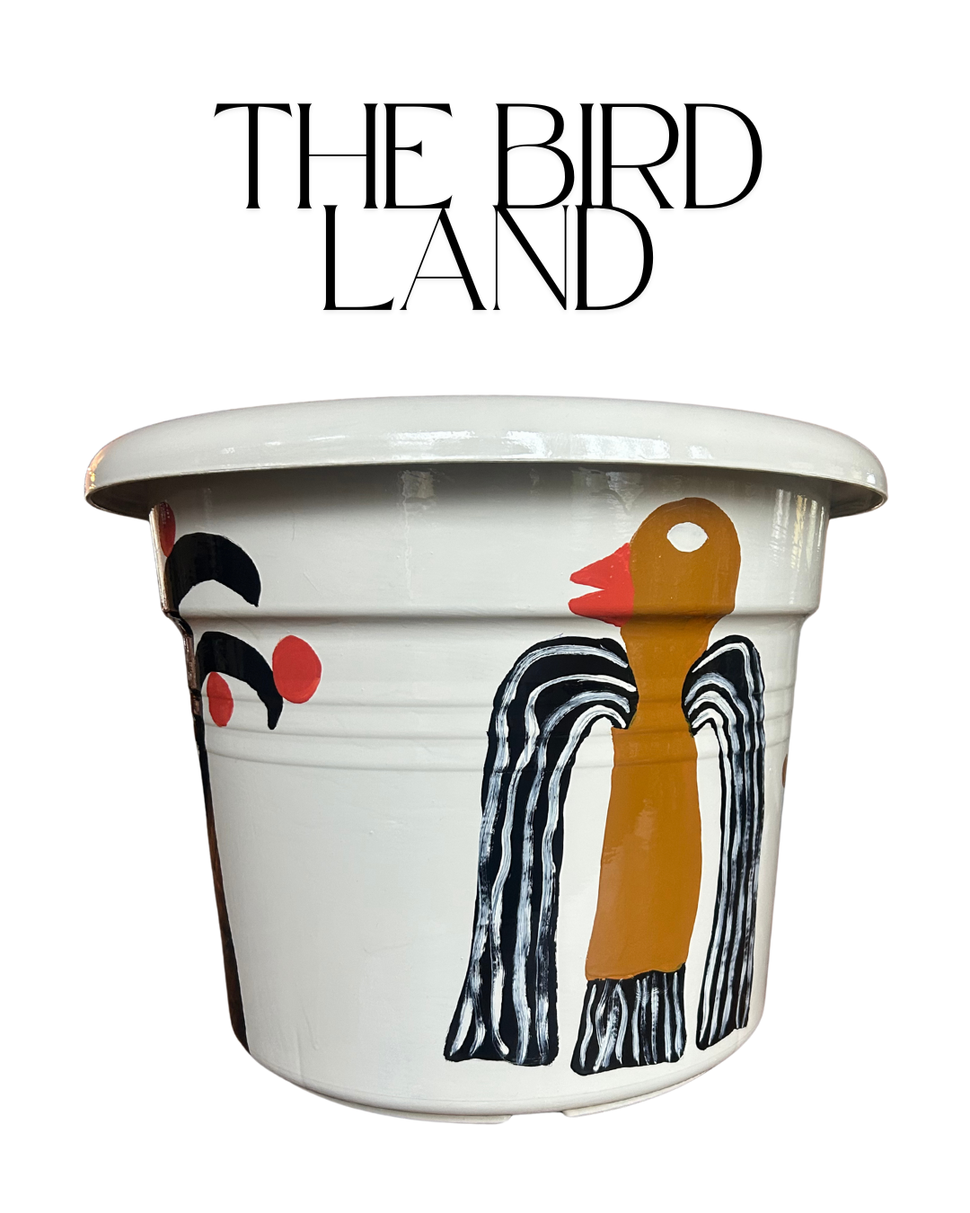 The Bird Land