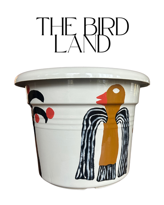 The Bird Land