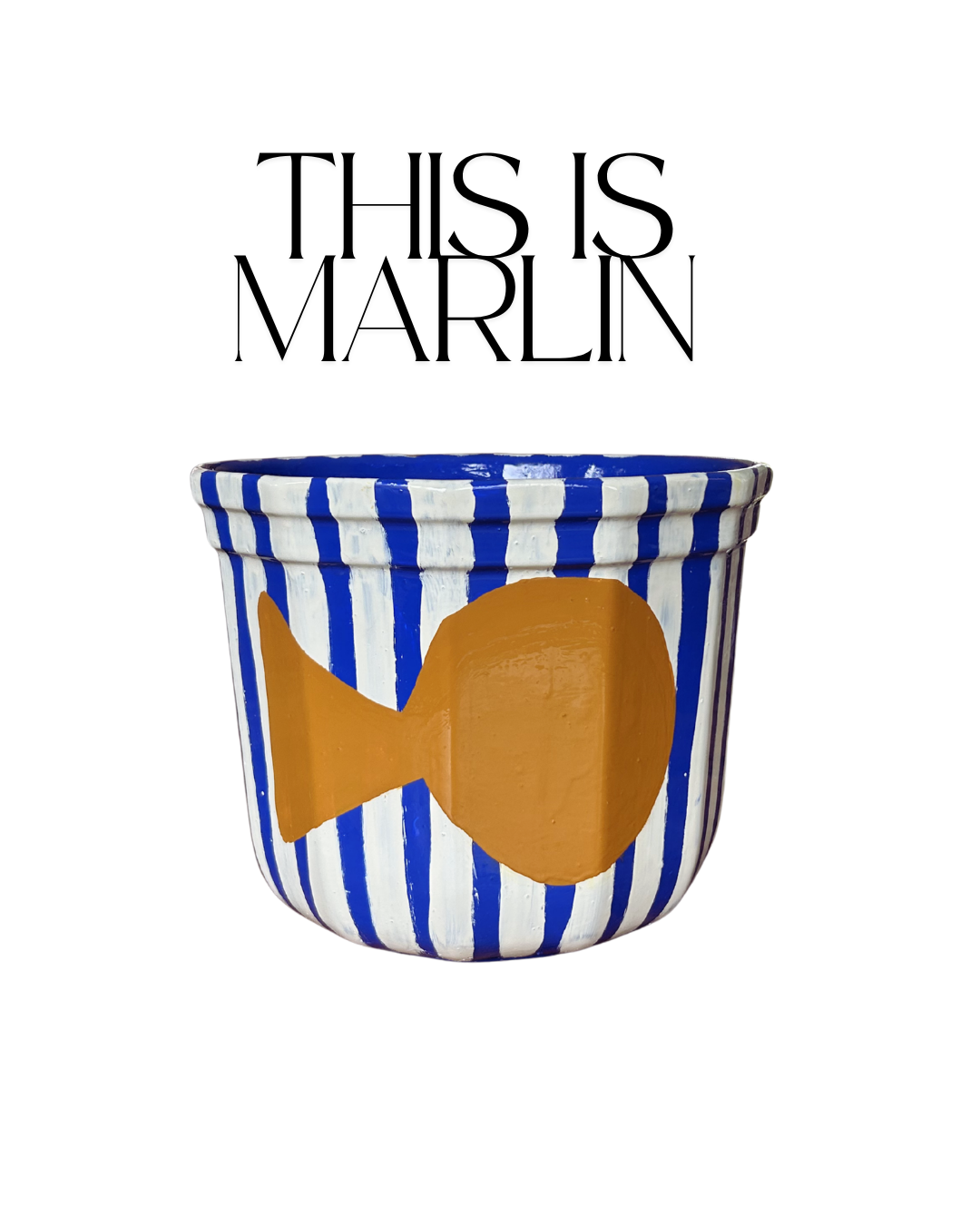 This is Marlin