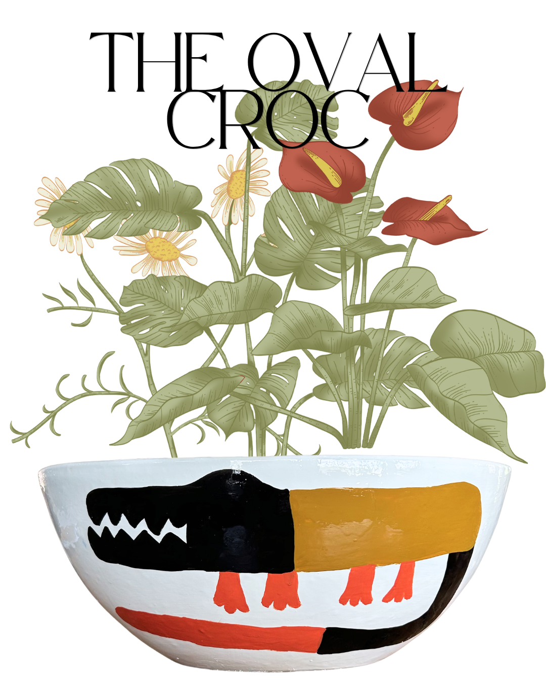 The Oval Croc
