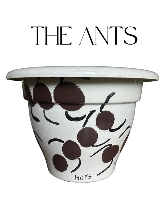 The Ants