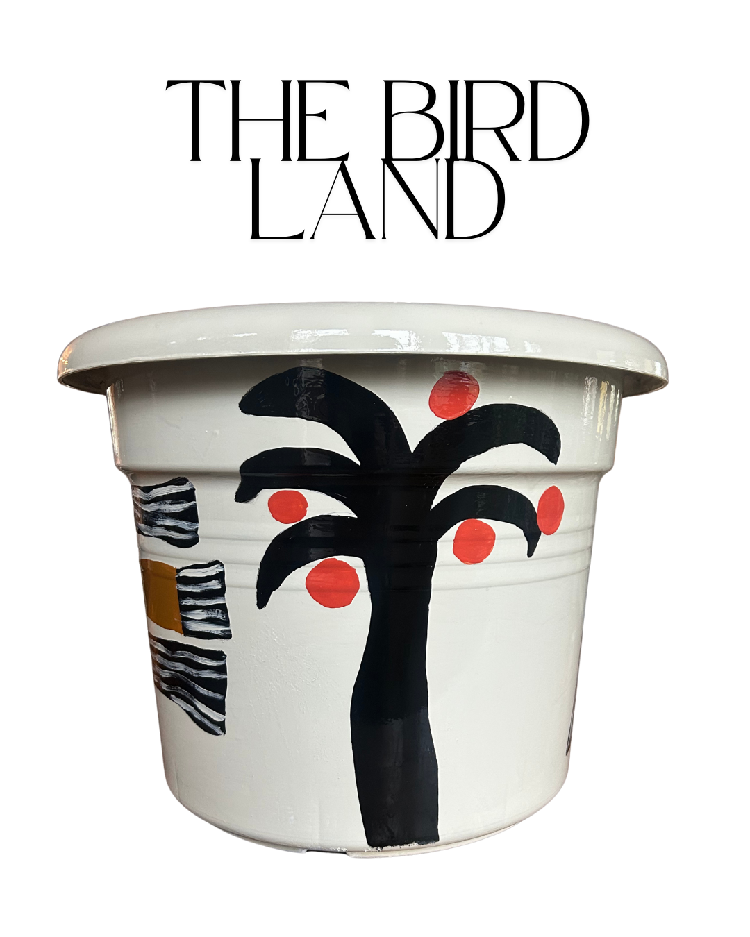 The Bird Land