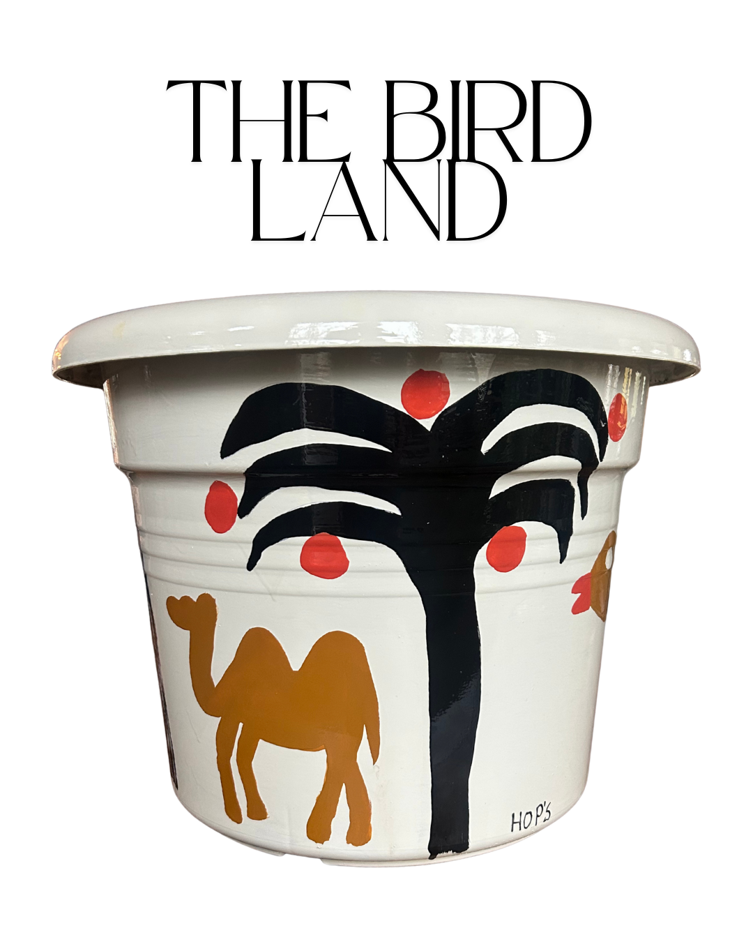 The Bird Land