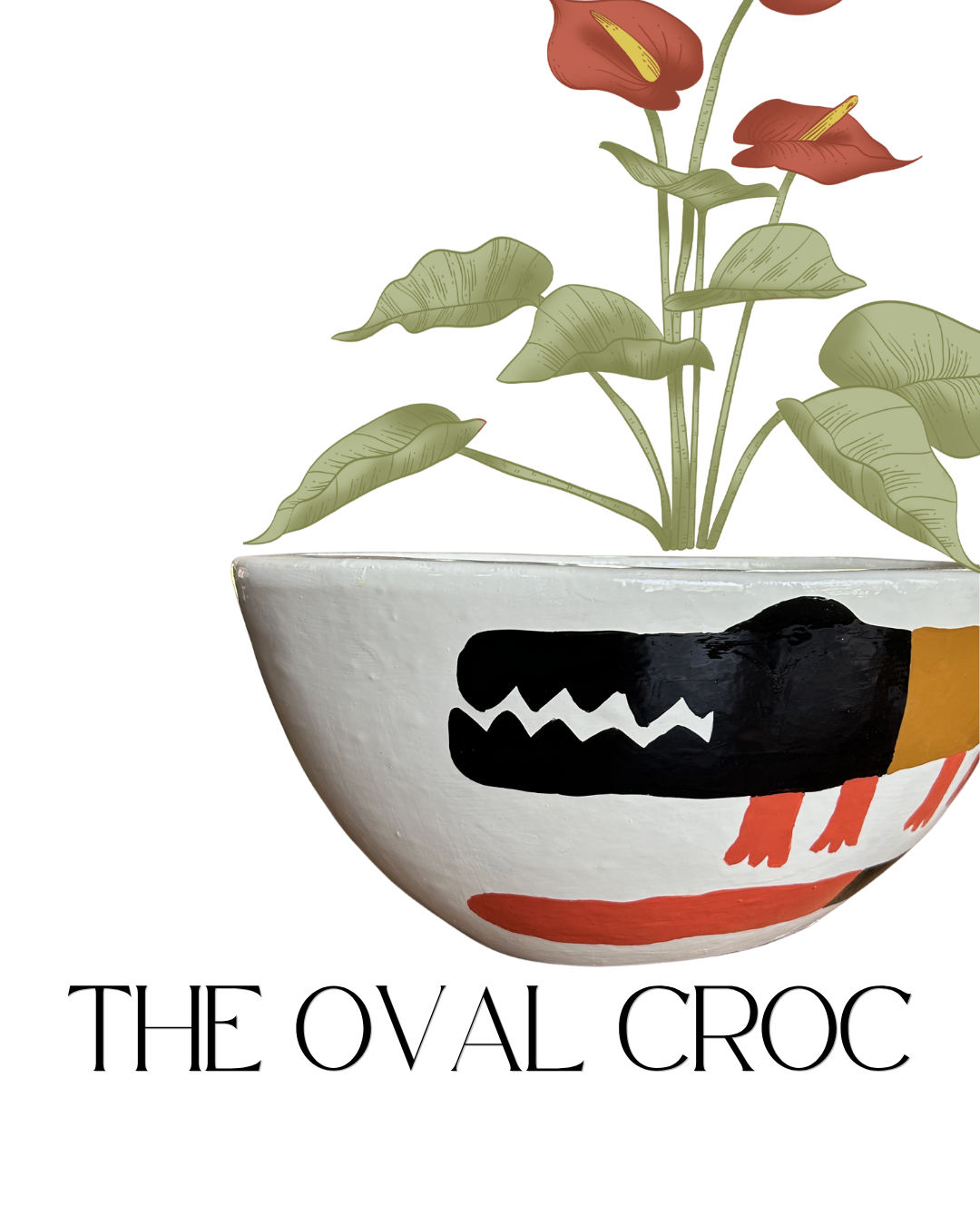The Oval Croc