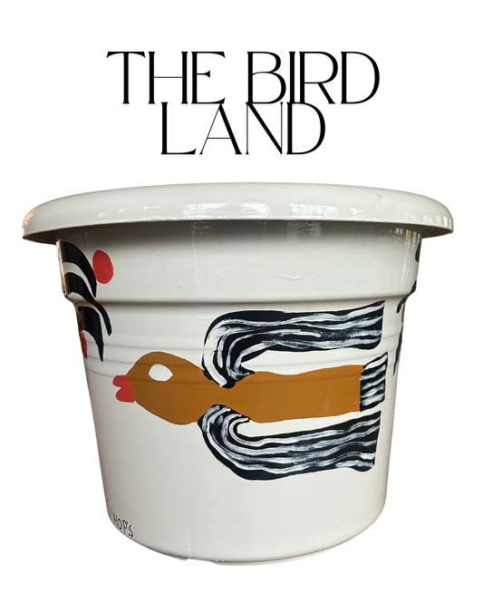 The Bird Land
