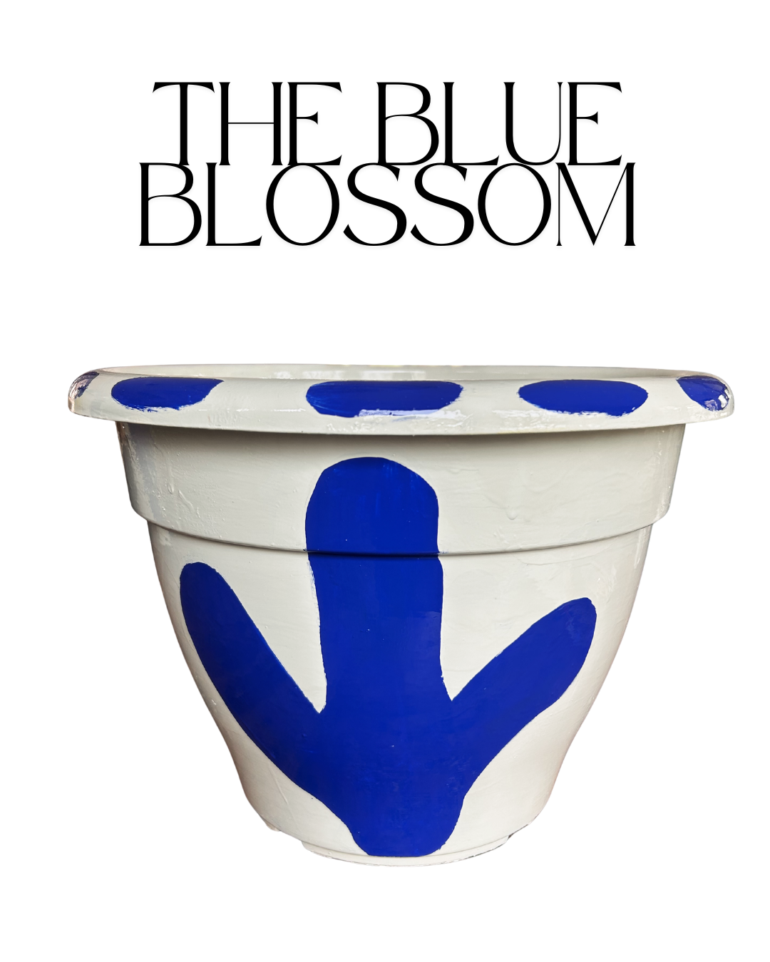 The Blue Blossom