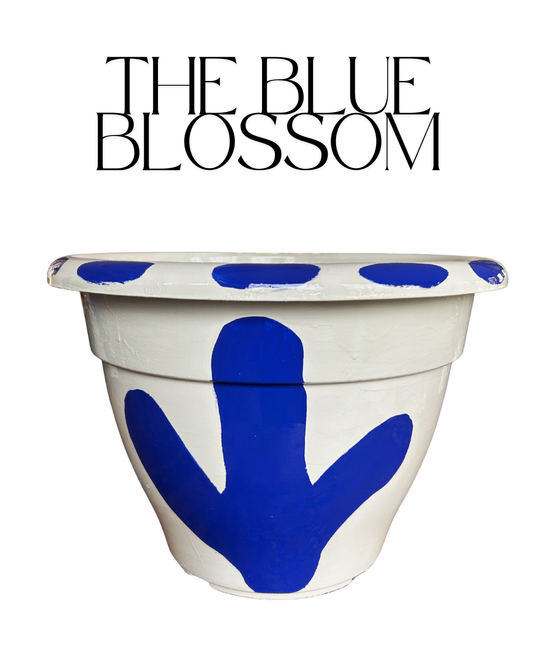 The Blue Blossom