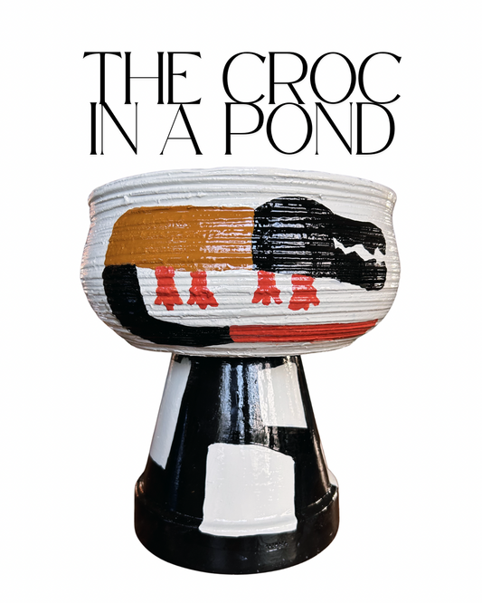 The Croc in a Pond
