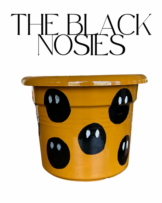 The Black Nosies
